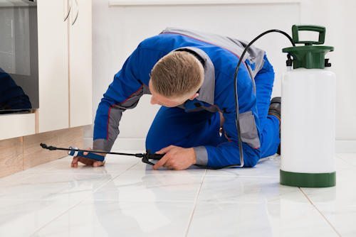 Residential Pest Control Services In Bhopal