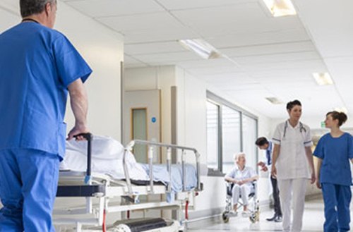 Hospital Pest Control Services In Indore