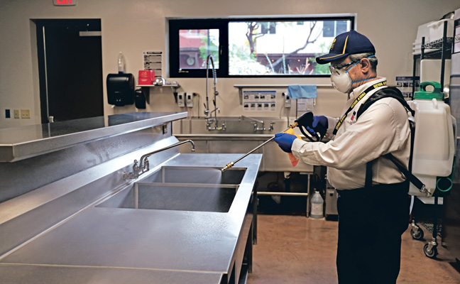 Restaurant Pest Control Services In Hoshangabad