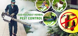 Herbal Pest Control Services In Raisen